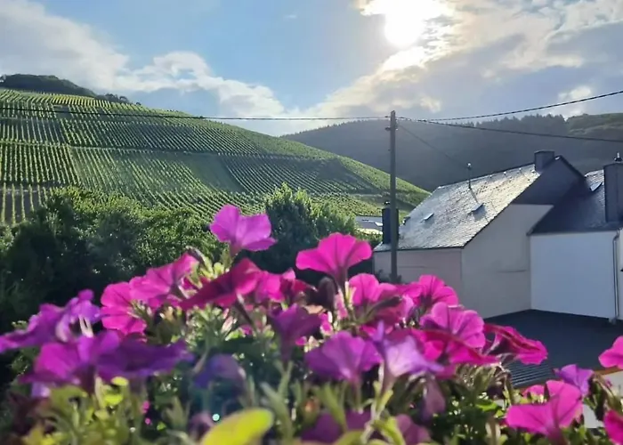 Hotel Zur Grafschaft Veldenz